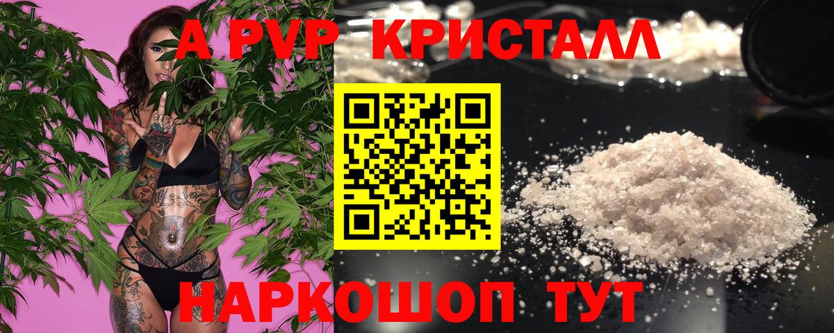 APVP СК Дальнегорск
